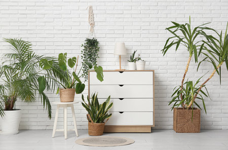 Interior of room with chest of drawers and houseplants near white brick wallの写真素材
