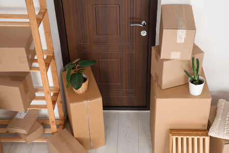 Interior of hallway with shelving unit, houseplants and many parcels near door