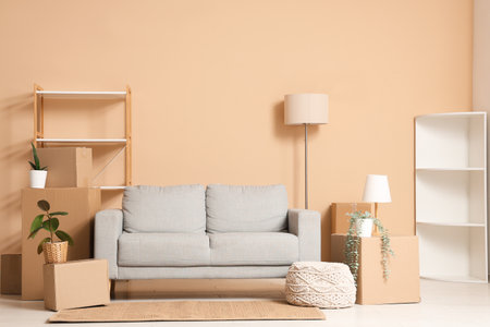 Interior of living room with gray sofa, shelving units, houseplants and many parcels near beige wallの写真素材
