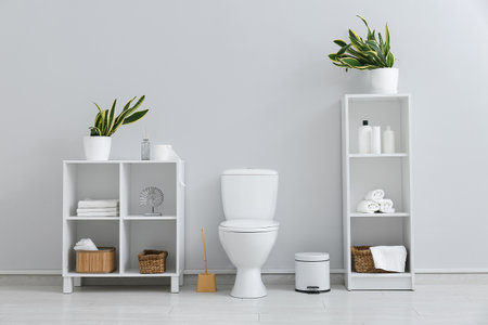 Ceramic toilet bowl, bin, brush and shelving units with bath supplies near light wallの写真素材