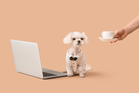 Funny business Maltese dog with laptop receiving coffee cup from female hand on beige backgroundの写真素材