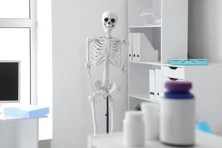 Interior of light hospital with human skeleton modelの写真素材