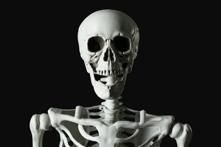 Scary human skeleton on black background, closeupの写真素材