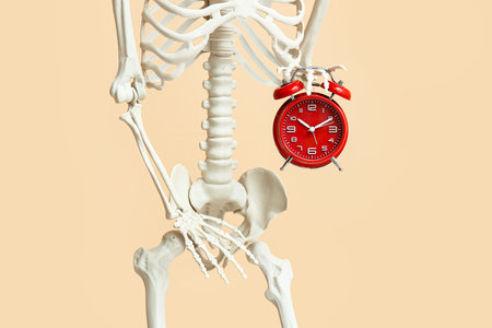 Human skeleton with alarm clock on beige background, closeupの写真素材