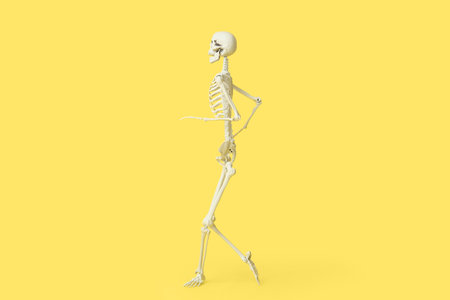 Scary human skeleton running on yellow background