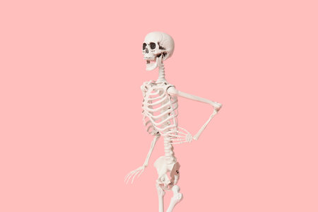 Scary human skeleton running on pink backgroundの写真素材