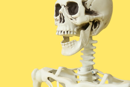 Scary human skeleton on yellow background, closeup