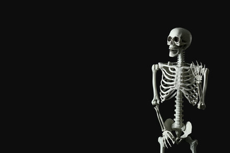 Scary human skeleton on black backgroundの写真素材