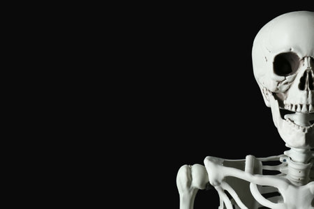 Scary human skeleton on black background, closeup
