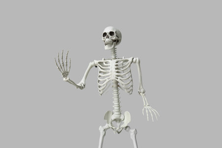 Scary human skeleton on gray background