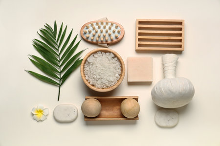 Composition with bowl of sea salt, spa accessories and palm leaf on light backgroundの写真素材