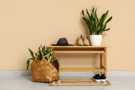 Interior of hallway with bench and Sansevieria plantsの写真素材
