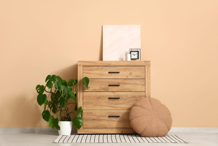 Interior of modern room with chest of drawers, pouf and Monstera houseplant