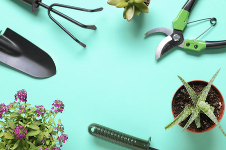 Frame made of potted plants and gardening tools on color backgroundの写真素材