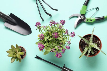 Composition with potted plants and gardening tools on color background