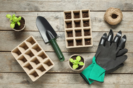 Composition with potted basil and different gardening supplies on wooden backgroundの写真素材