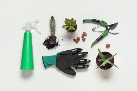 Composition with succulents and gardening supplies on light background