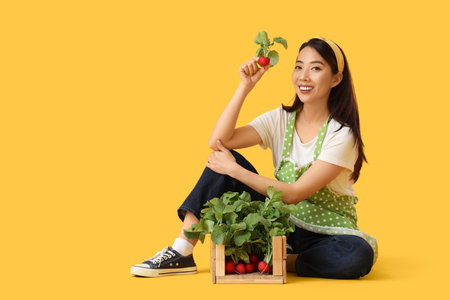 Young Asian housewife with box of ripe radish sitting on yellow backgroundの写真素材