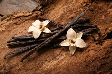 Vanilla sticks and flowers on tree barkの写真素材