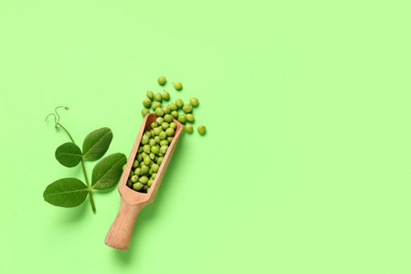 Wooden scoop with fresh green peas and leaves on color backgroundの写真素材