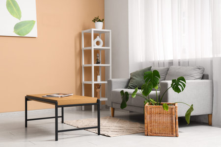 Interior of living room with sofa, table and Monstera houseplant