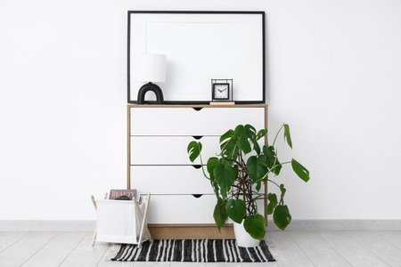 Chest of drawers and Monstera houseplant near white wall in interior of room