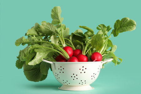 Collander of ripe radish on turquoise backgroundの写真素材