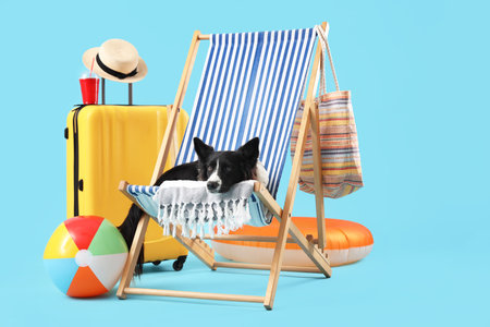 Cute Border Collie dog with suitcase and traveling accessories sitting on deckchair against blue backgroundの写真素材