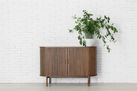 Stylish wooden cabinet with houseplant near white brick wall
