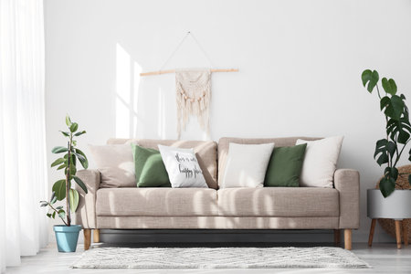 Interior of light living room with cushions on gray sofa and plantsの写真素材