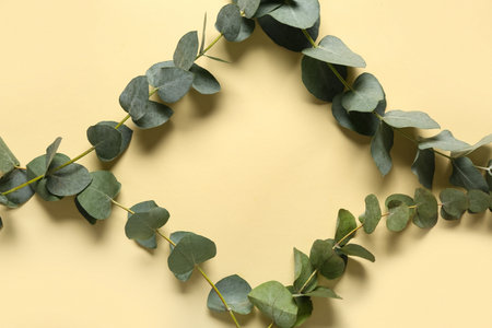 Frame made of green eucalyptus branches on yellow backgroundの写真素材