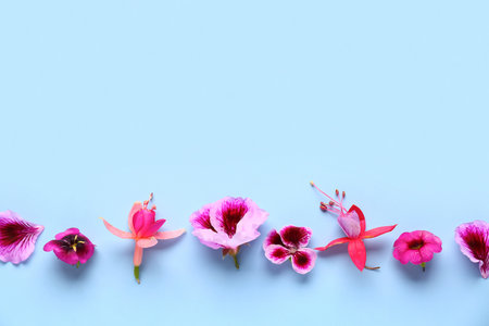Different beautiful edible flowers on blue backgroundの写真素材