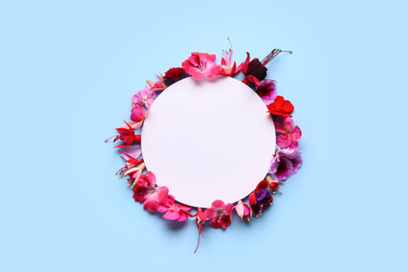 Blank card with different beautiful edible flowers on blue background