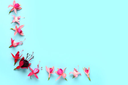 Different beautiful edible flowers on blue background