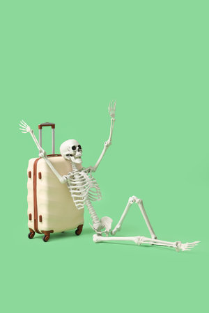 Human skeleton with suitcase sitting on green background. Travel conceptの写真素材