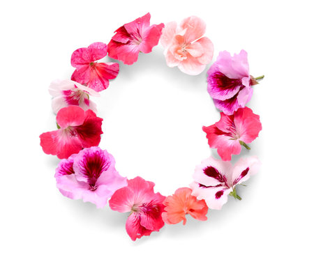 Frame made of different beautiful edible flowers on white backgroundの写真素材