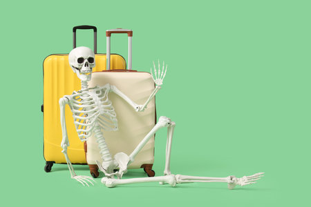 Human skeleton with suitcases sitting on green background. Travel conceptの写真素材