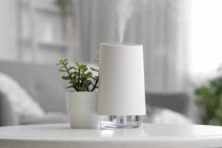 Air humidifier with plant on table in living room, closeupの写真素材