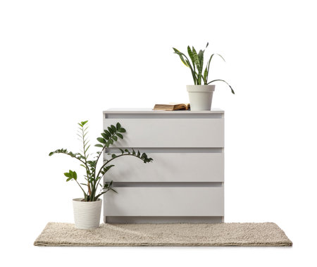 Modern chest of drawers with houseplants isolated on white background