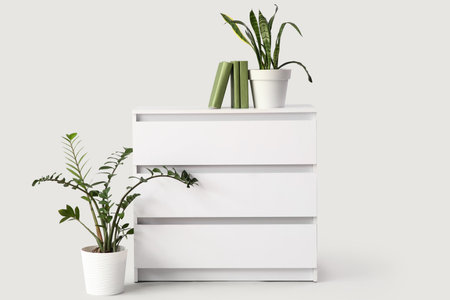 Modern chest of drawers with books and houseplants on white backgroundの写真素材