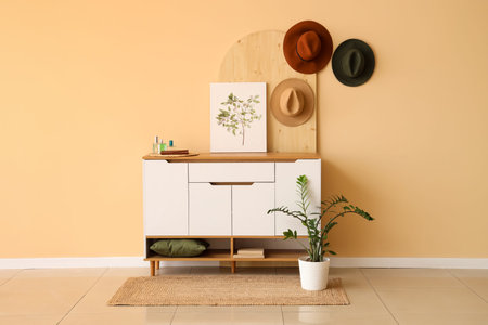 Chest of drawers and houseplant near beige wall in interior of living roomの写真素材