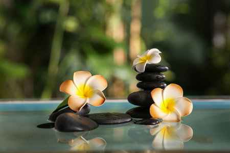 Lake with spa stones and beautiful plumeria flowers in tropical bamboo gardenの写真素材