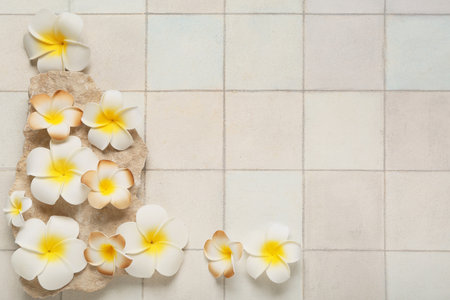 Stone with beautiful plumeria flowers on white tile backgroundの写真素材
