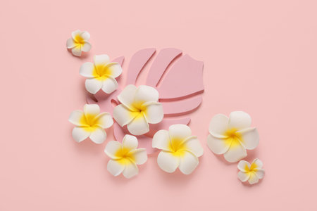 Beautiful plumeria flowers and decorative monstera leaf on pink background
