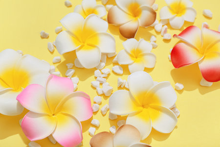 Beautiful plumeria flowers and stones on yellow background, closeupの写真素材