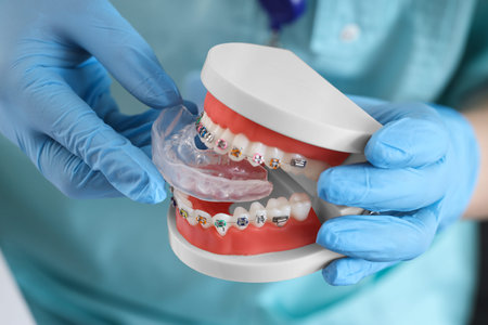 Female dentist with occlusal splint and jaw model in clinic, closeup