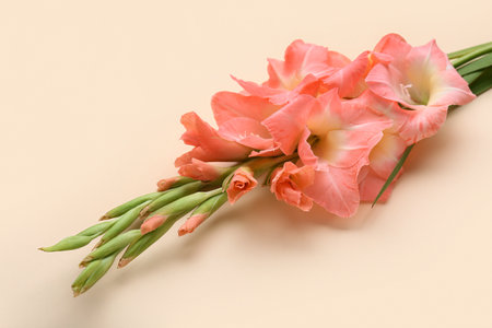 Beautiful gladiolus flowers on beige background, closeupの写真素材