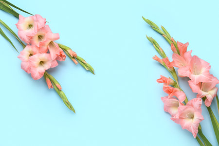 Frame made of beautiful gladiolus flowers on blue backgroundの写真素材