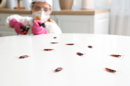 Female pest control specialist disinfecting table for cockroaches in kitchen, closeup