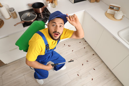 Shocked male pest control specialist carrying out cockroach disinfection in kitchen, top viewの写真素材